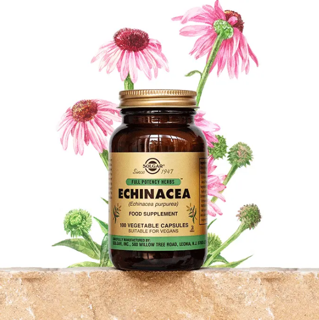 Solgar Echinacea 520 mg 100 Kapsül - 2